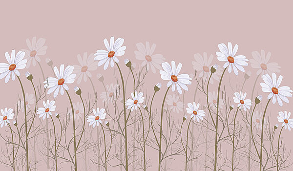 Un groupe de fleurs blanches Un groupe de fleurs blanches