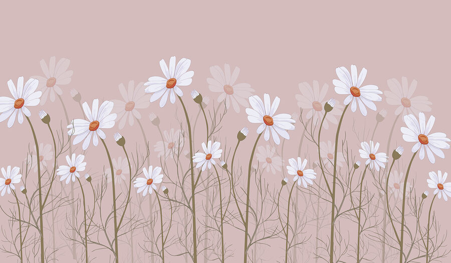 Un groupe de fleurs blanches