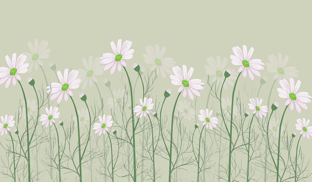 Un groupe de fleurs blanches Un groupe de fleurs blanches