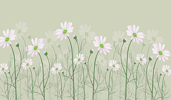 Un groupe de fleurs blanches Un groupe de fleurs blanches