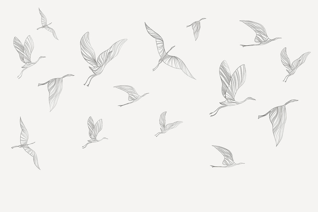 Un groupe d'oiseaux en vol Un groupe d'oiseaux en vol