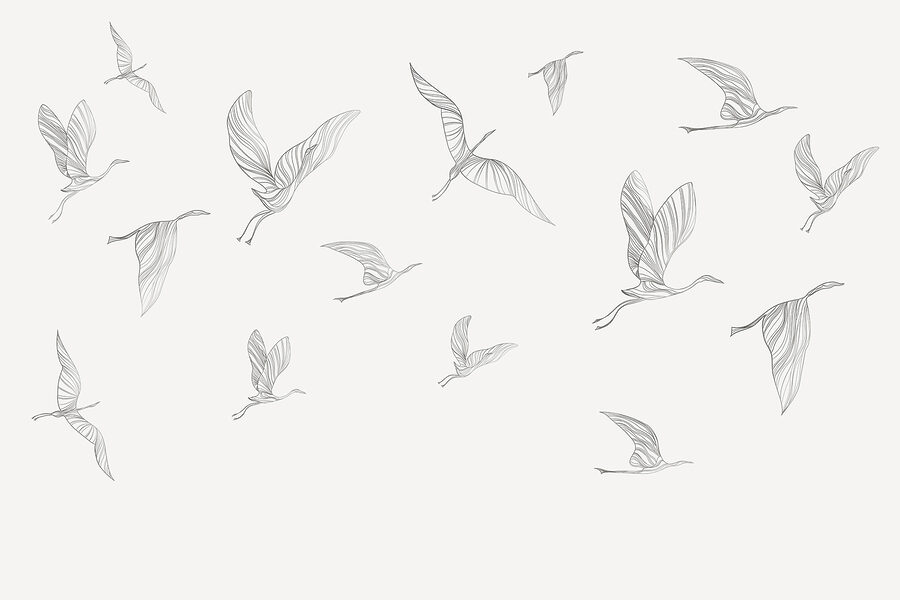 Un groupe d'oiseaux en vol