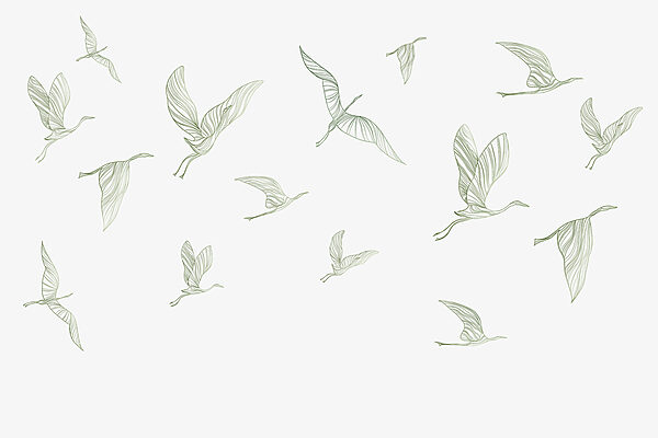 Un groupe d'oiseaux en vol Un groupe d'oiseaux en vol