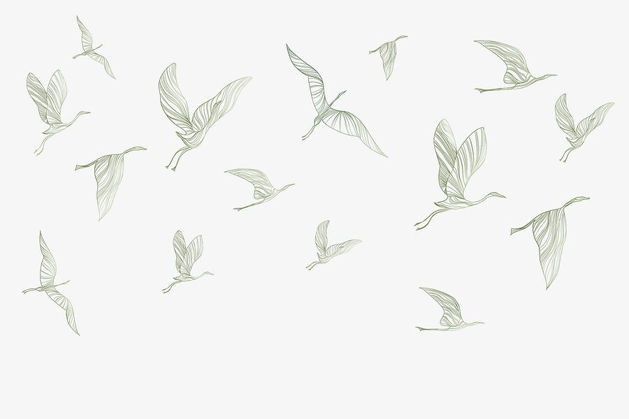 Un groupe d'oiseaux en vol