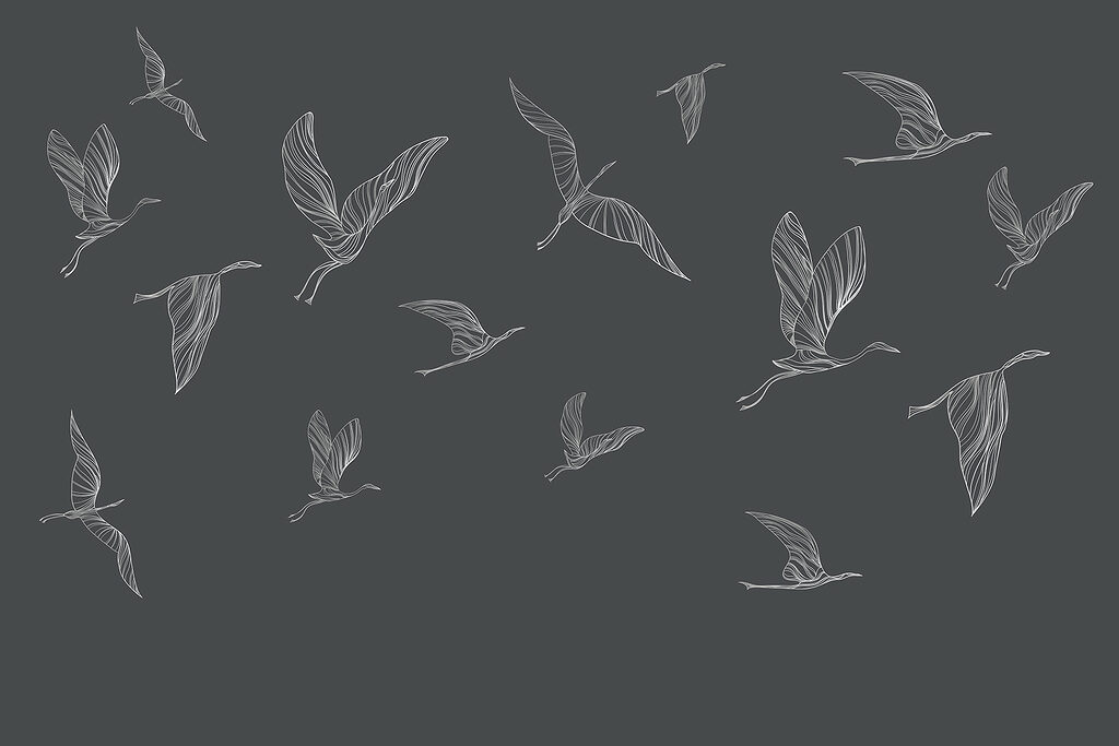 A group of birds flying A group of birds flying