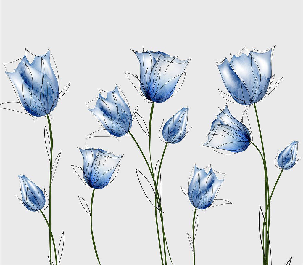 Un groupe de fleurs bleues Un groupe de fleurs bleues