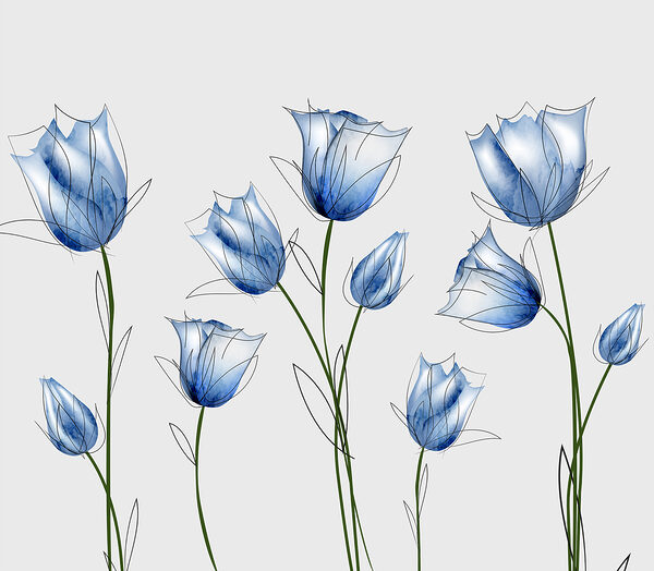 Un groupe de fleurs bleues Un groupe de fleurs bleues