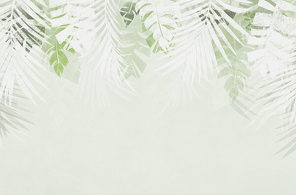 Une feuille blanche et verte Une feuille blanche et verte