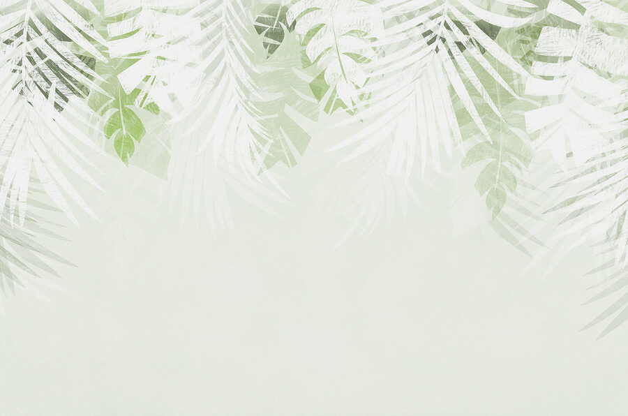 Une feuille blanche et verte