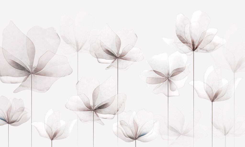 Un groupe de fleurs blanches Un groupe de fleurs blanches