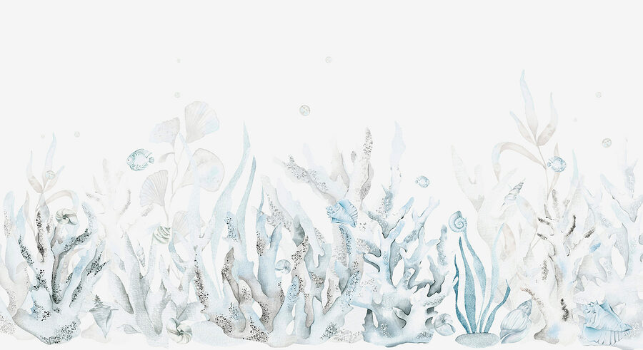 Une aquarelle d'algues et de coquillages Une aquarelle d'algues et de coquillages