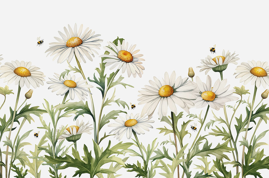 Groupe de fleurs blanches à centre jaune et feuilles vertes