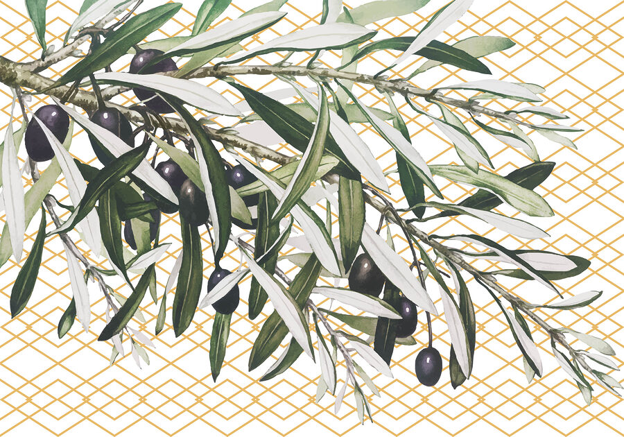 Une branche avec des olives noires et des feuilles Une branche avec des olives noires et des feuilles