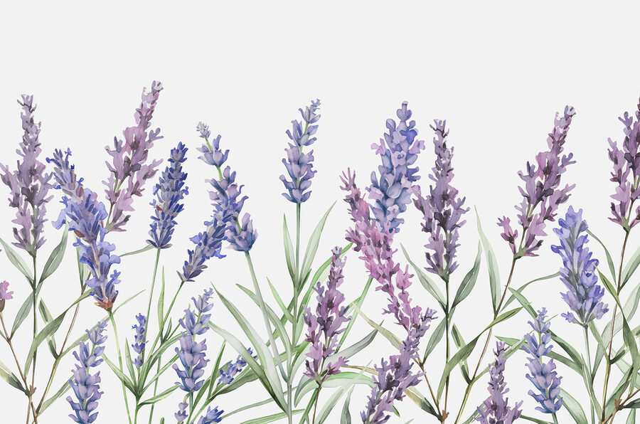 Une rangée de fleurs violettes