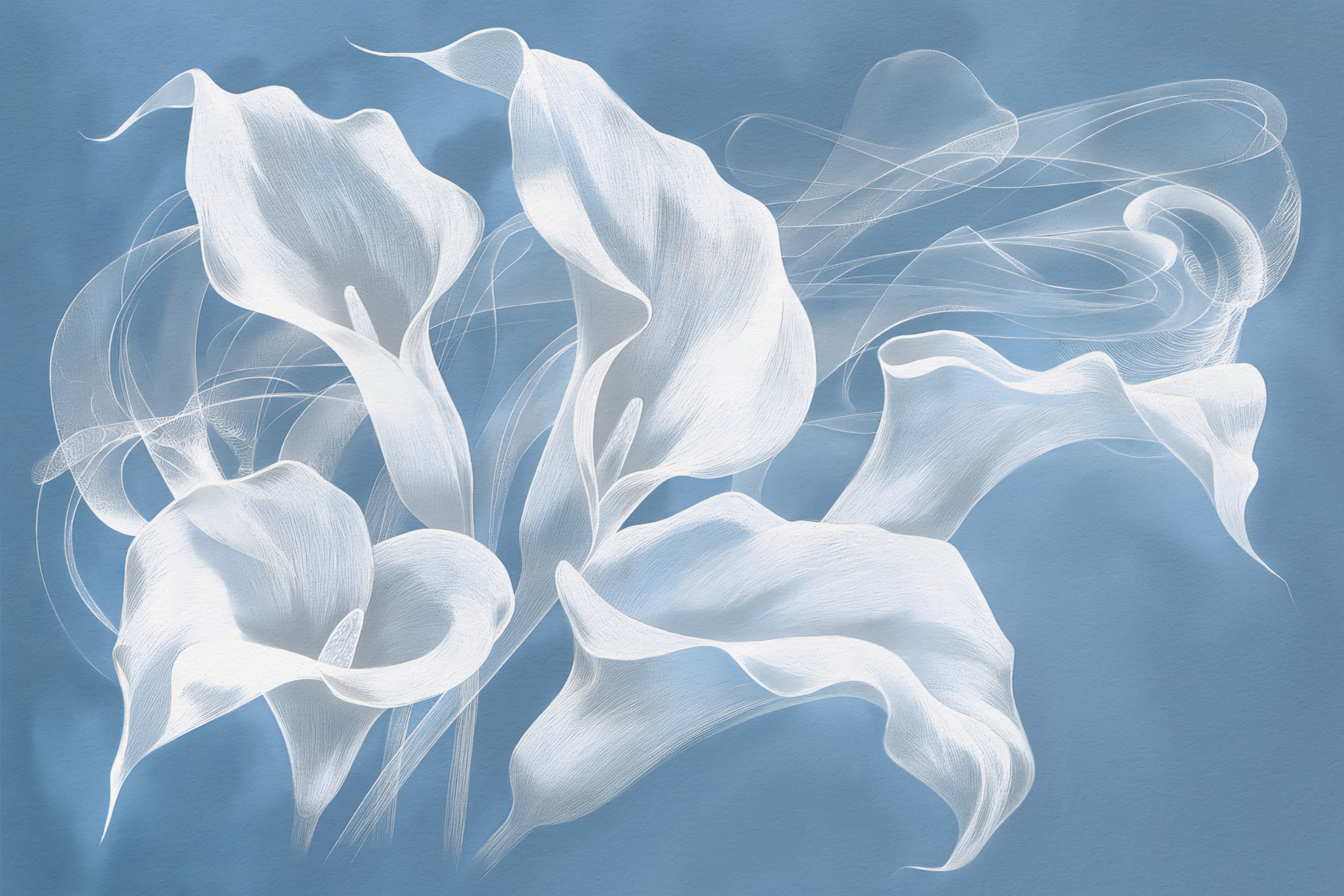 A white flowers on a blue background