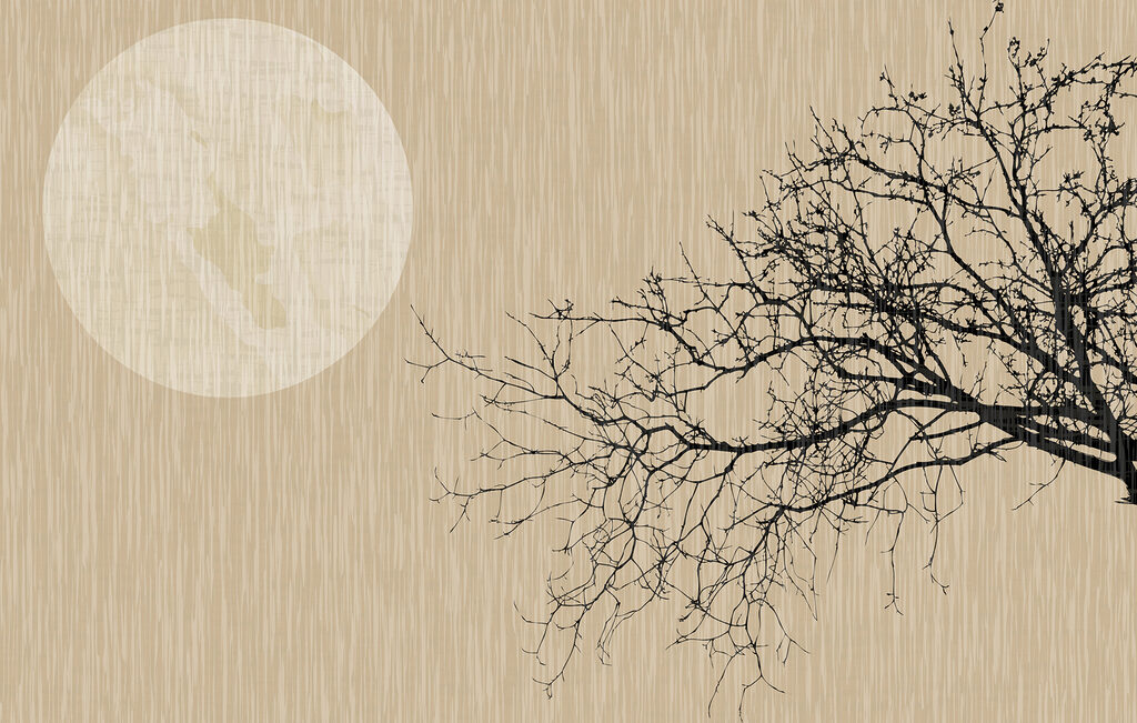 Un arbre sans feuilles Un arbre sans feuilles