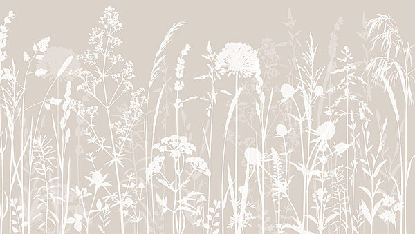 Une silhouette blanche de fleurs Une silhouette blanche de fleurs