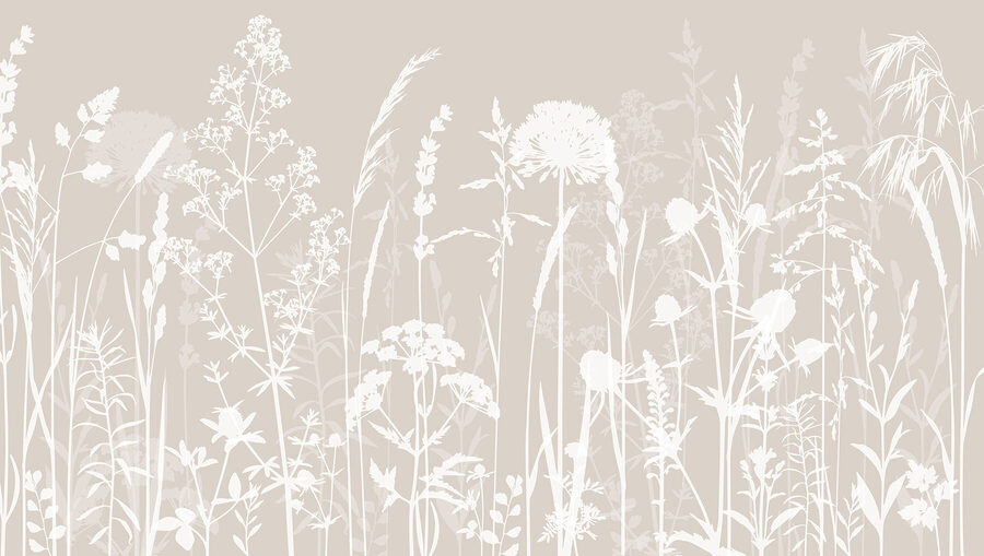 Une silhouette blanche de fleurs