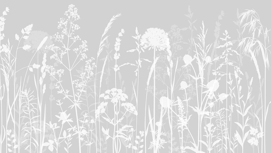 Une silhouette blanche de fleurs Une silhouette blanche de fleurs