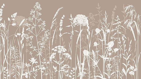 Gros plan sur les fleurs Gros plan sur les fleurs