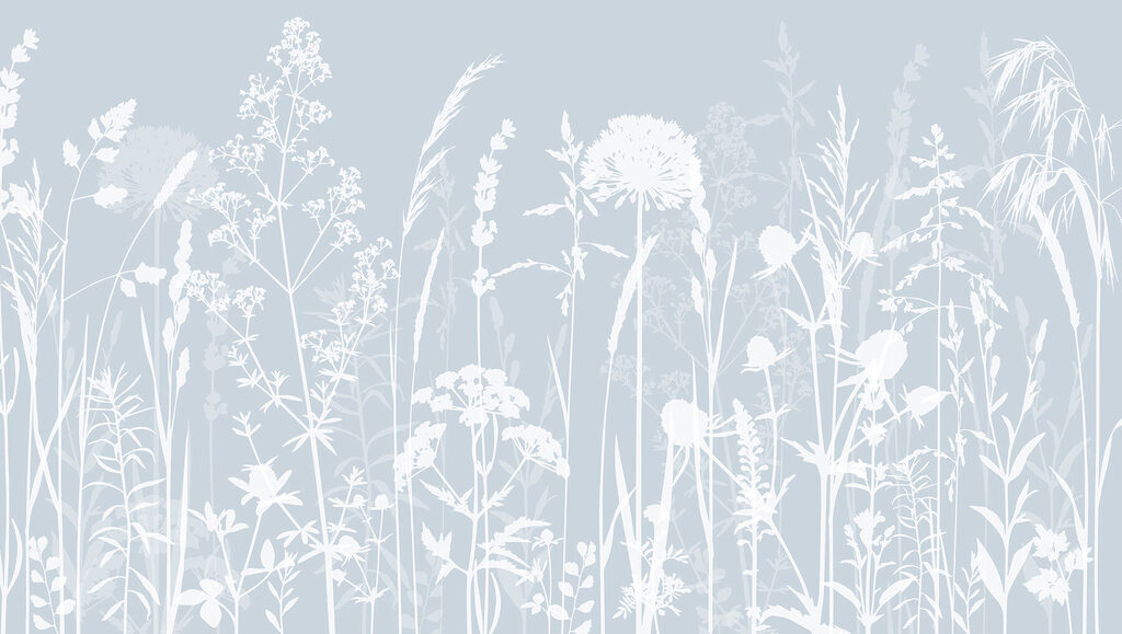 Une silhouette blanche de fleurs Une silhouette blanche de fleurs