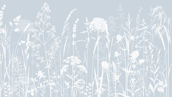 Une silhouette blanche de fleurs Une silhouette blanche de fleurs