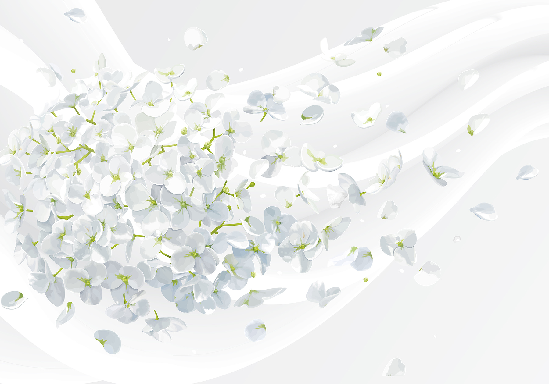 A white flowers flying in the air A white flowers flying in the air