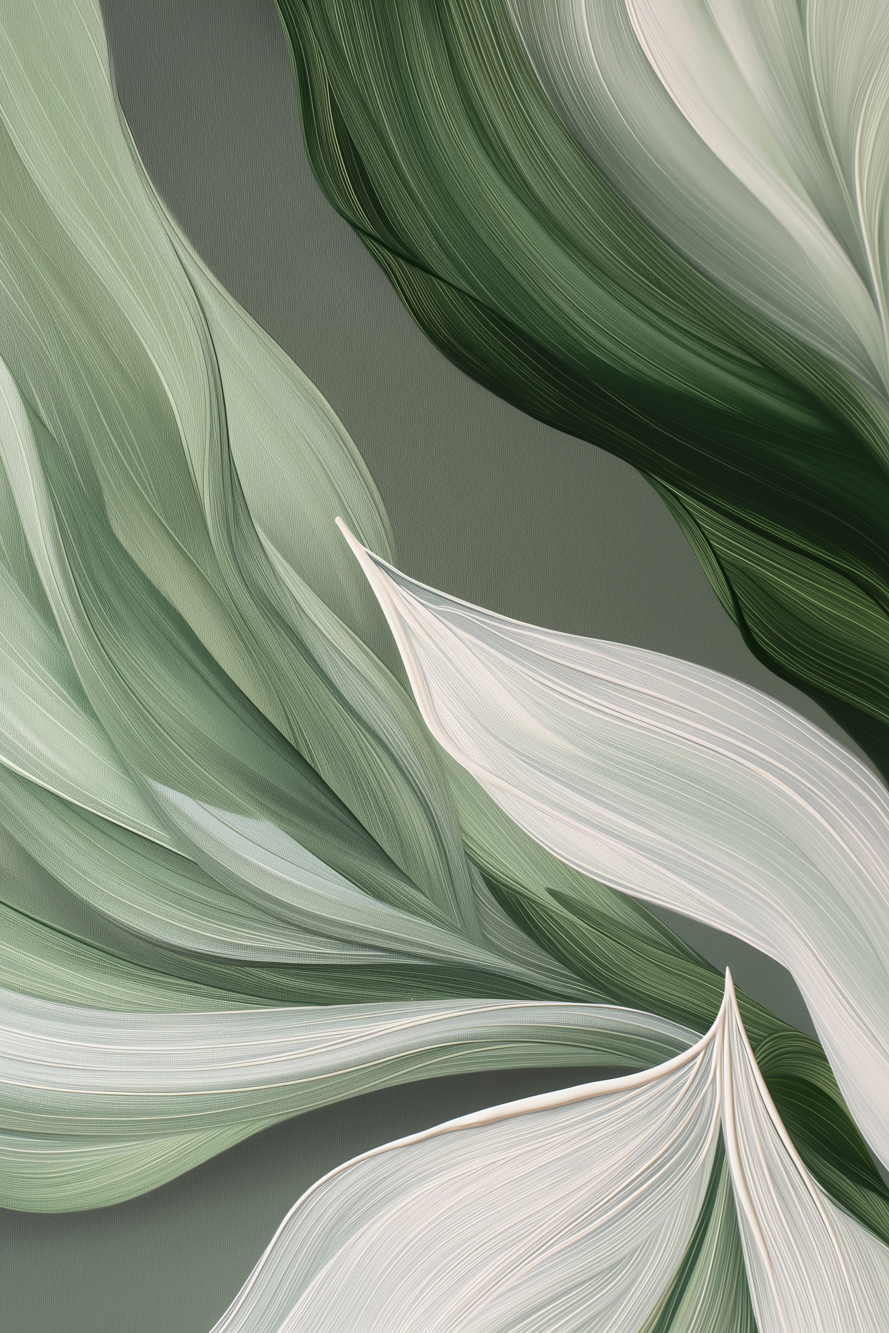 A close up of leaves