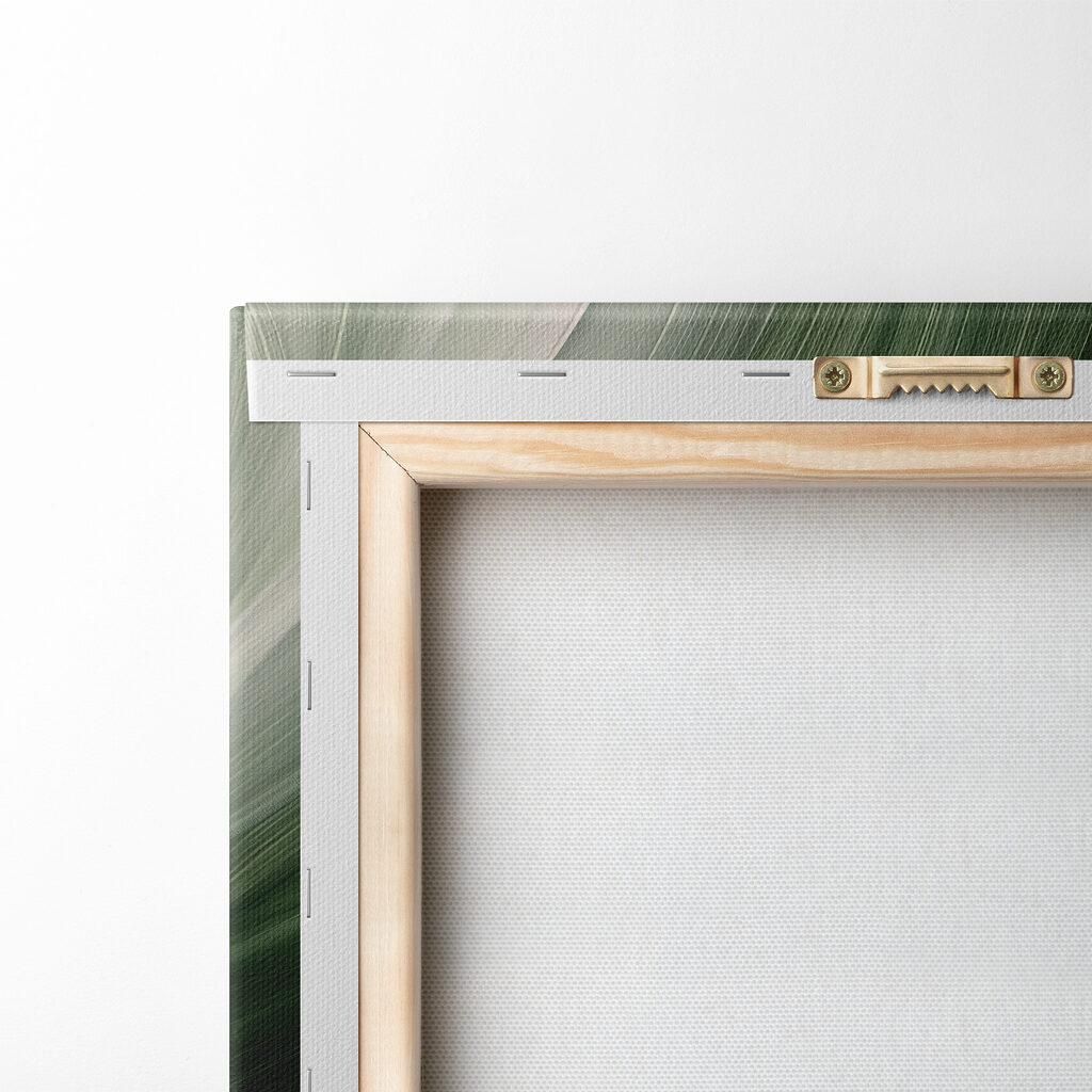 A close up of leaves A close up of leaves