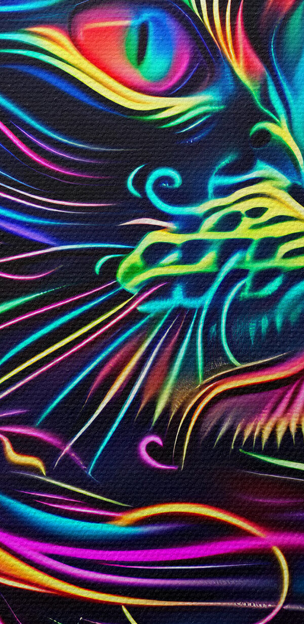 Un chat coloré sur fond noir Un chat coloré sur fond noir