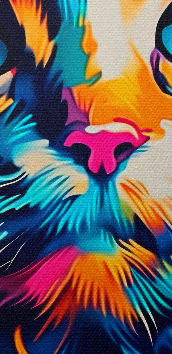 Un chat coloré aux yeux bleus Un chat coloré aux yeux bleus