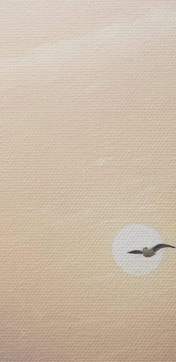 Une mouette volant au-dessus de l'eau Une mouette volant au-dessus de l'eau