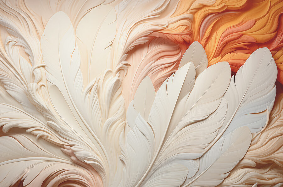 Gros plan sur les plumes
