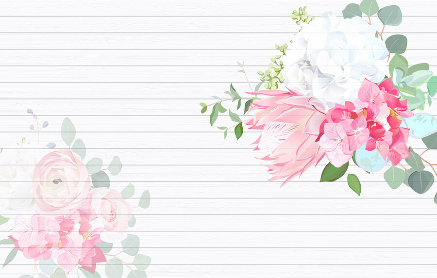 Fleurs blanches et roses sur fond blanc