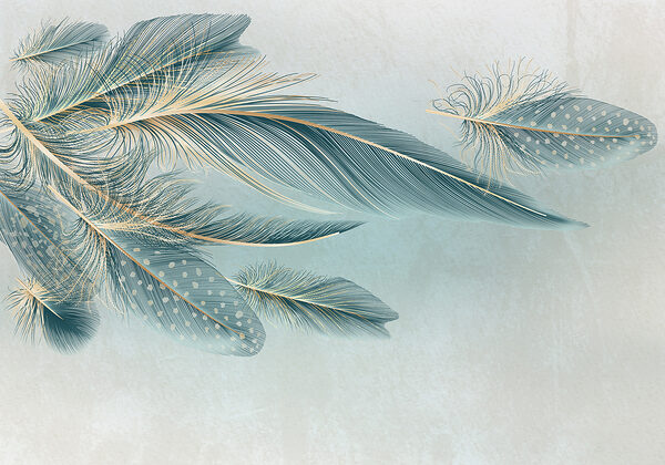 Groupe de plumes sur fond blanc w01312p 600x420 - Groupe de plumes sur fond blanc