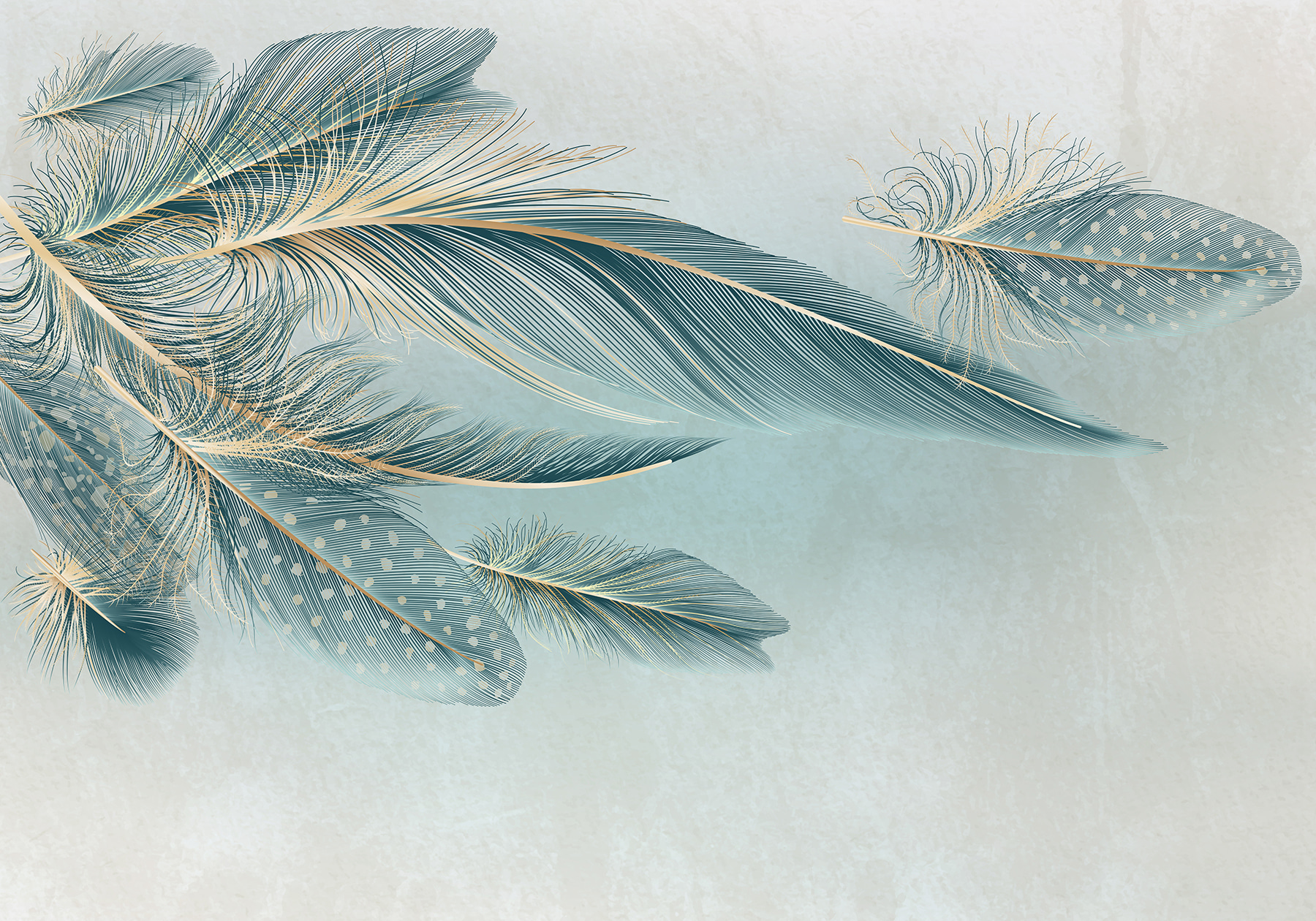 Groupe de plumes sur fond blanc w01312p - Groupe de plumes sur fond blanc