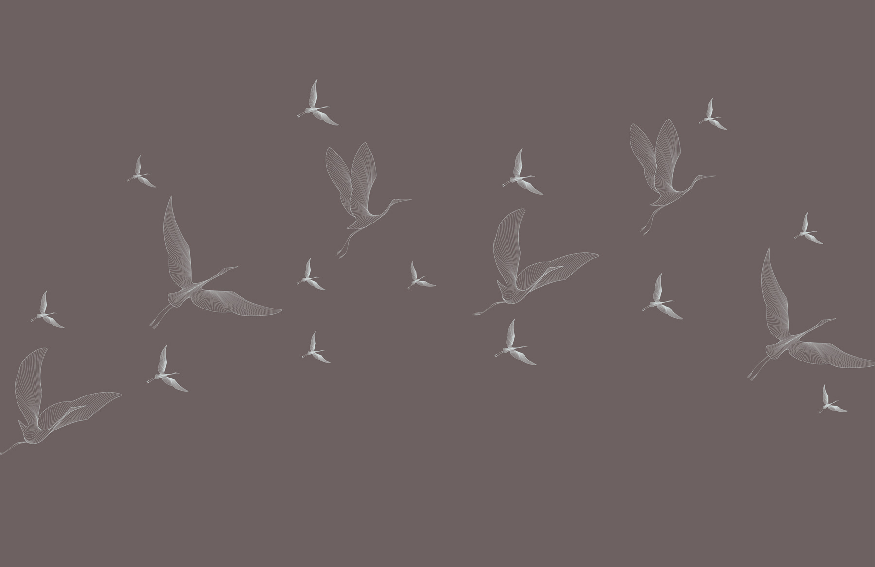 A flock of birds flying A flock of birds flying