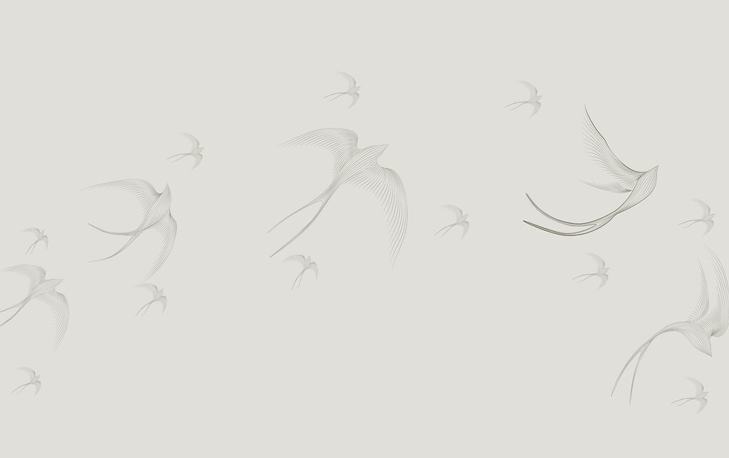 Un groupe d'oiseaux en vol Un groupe d'oiseaux en vol
