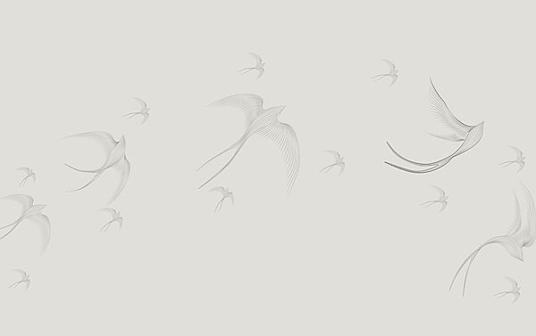 Un groupe d'oiseaux en vol Un groupe d'oiseaux en vol