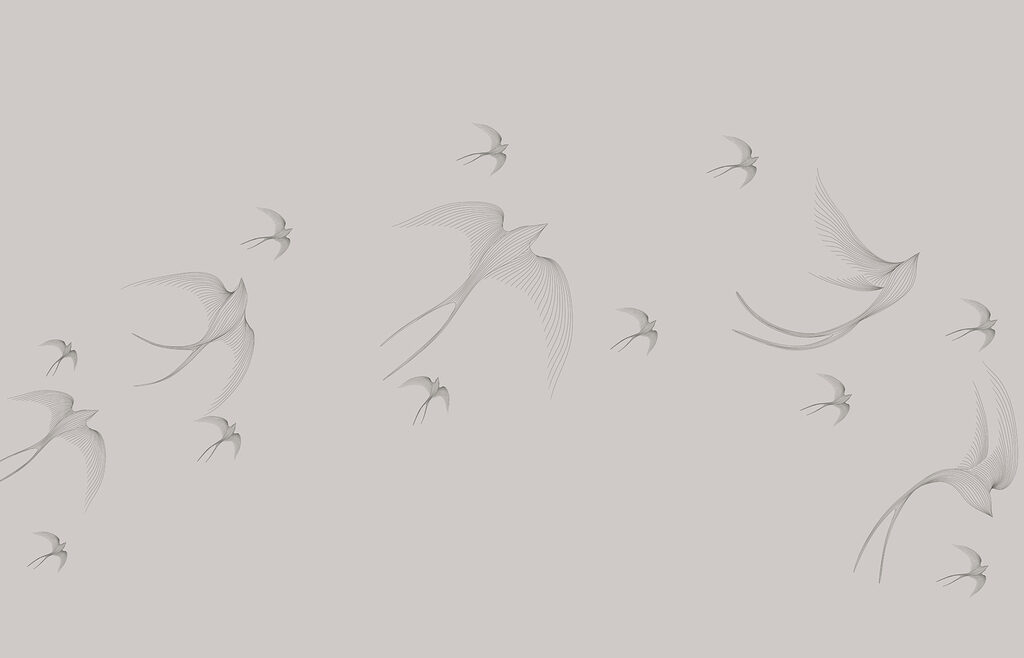 Un groupe d'oiseaux en vol Un groupe d'oiseaux en vol