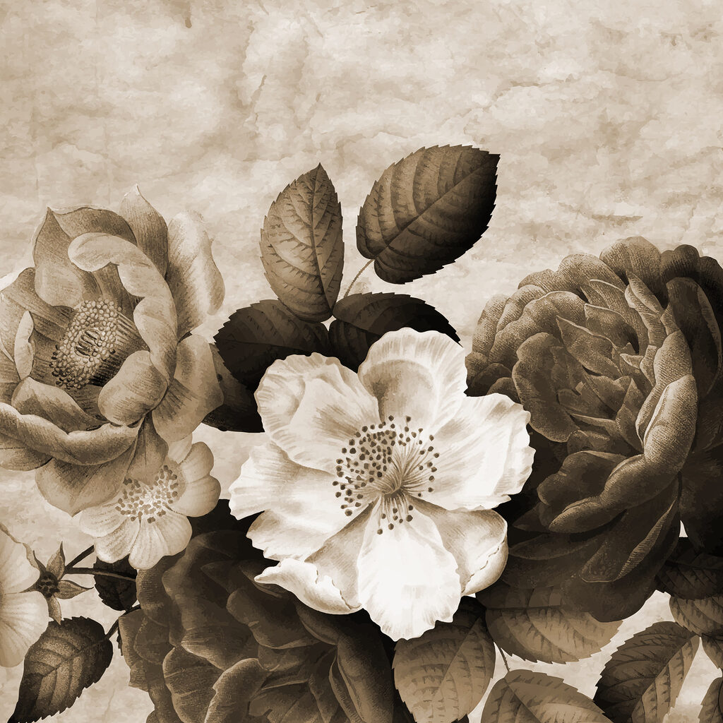Gros plan sur les fleurs Gros plan sur les fleurs