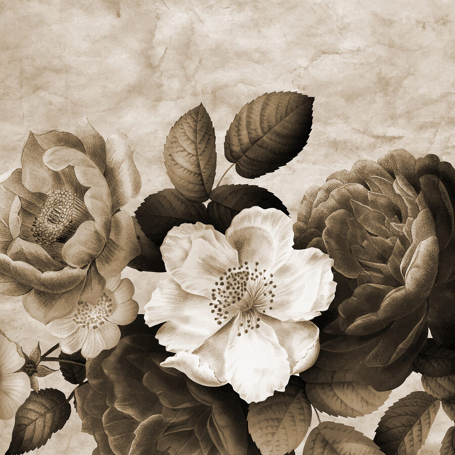 Gros plan sur les fleurs