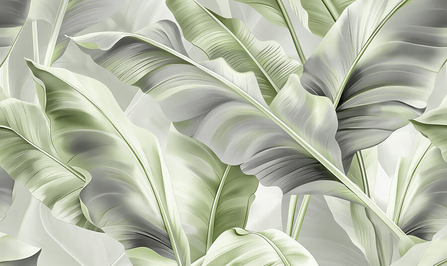 Gros plan sur les feuilles