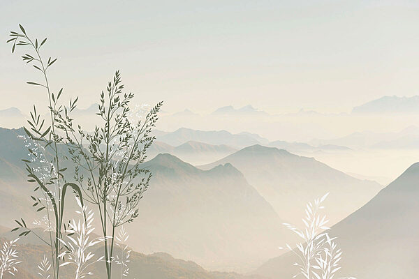 Un paysage avec des montagnes et des arbres Un paysage avec des montagnes et des arbres