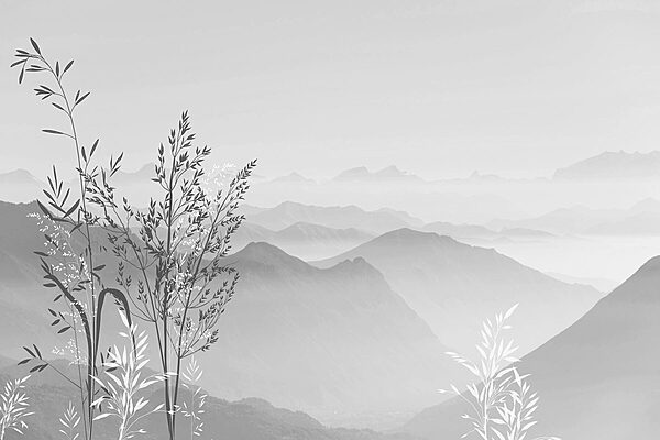 Un paysage avec des montagnes et des plantes Un paysage avec des montagnes et des plantes