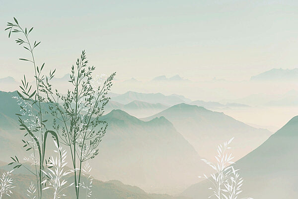 Un paysage avec des montagnes et des arbres Un paysage avec des montagnes et des arbres