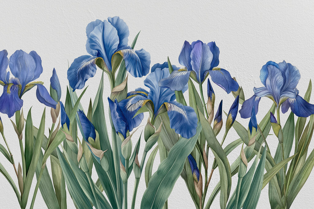 Un groupe de fleurs bleues Un groupe de fleurs bleues