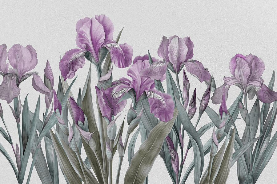Un groupe de fleurs violettes