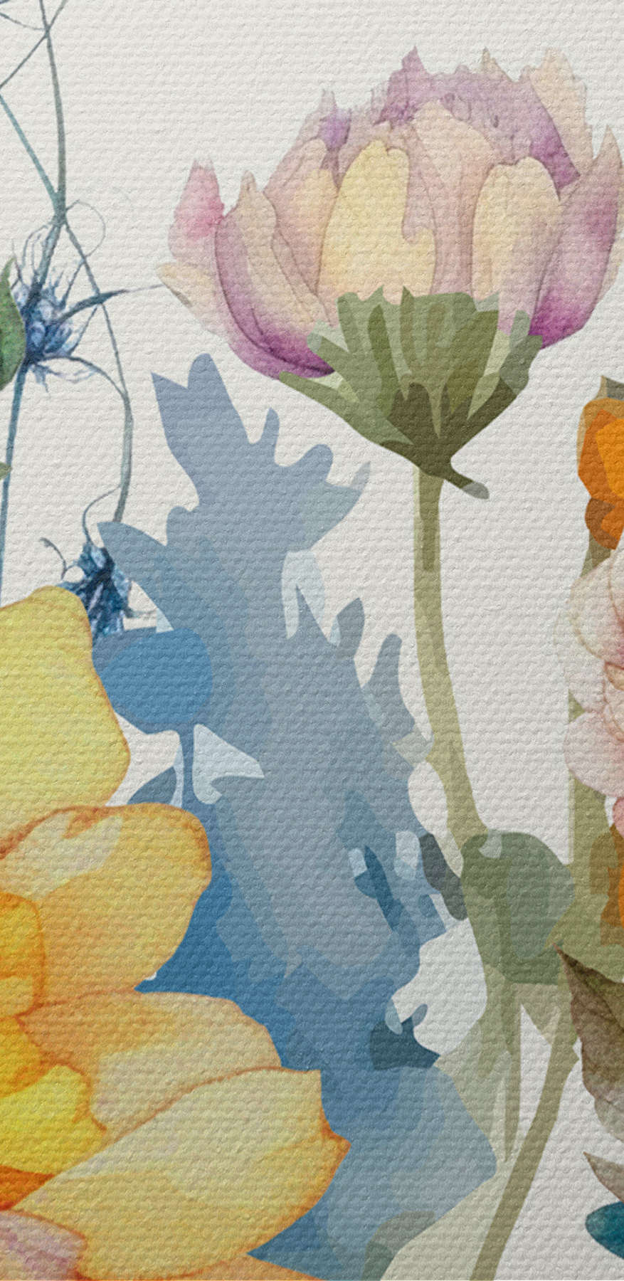 Gros plan sur les fleurs