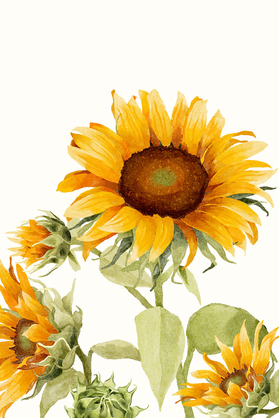 Tableaux Gros plan sur un tournesol – Image 9